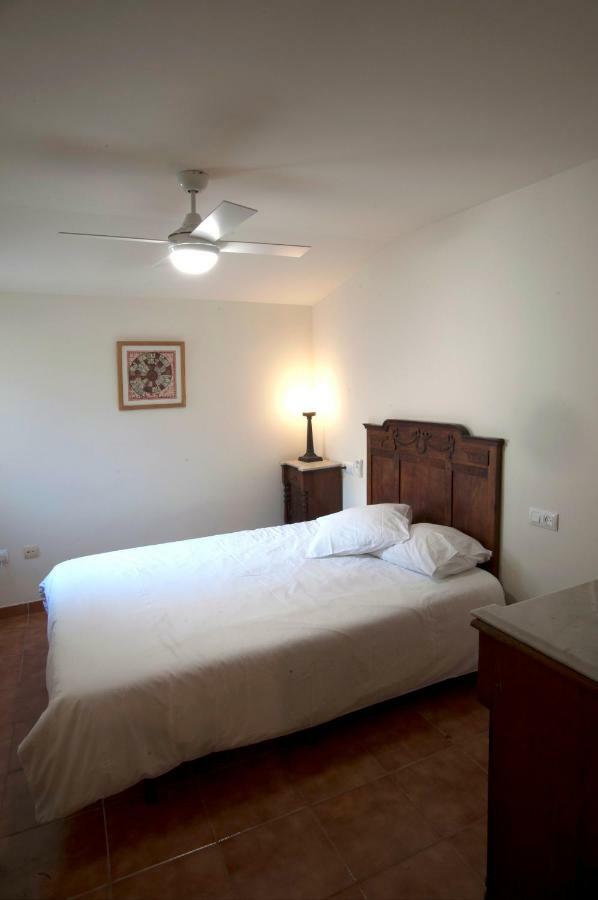 Atico Del Holandes Apartment Balaguer Ngoại thất bức ảnh